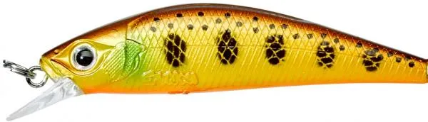 Gamera 5,4cm SHW Gold Trout