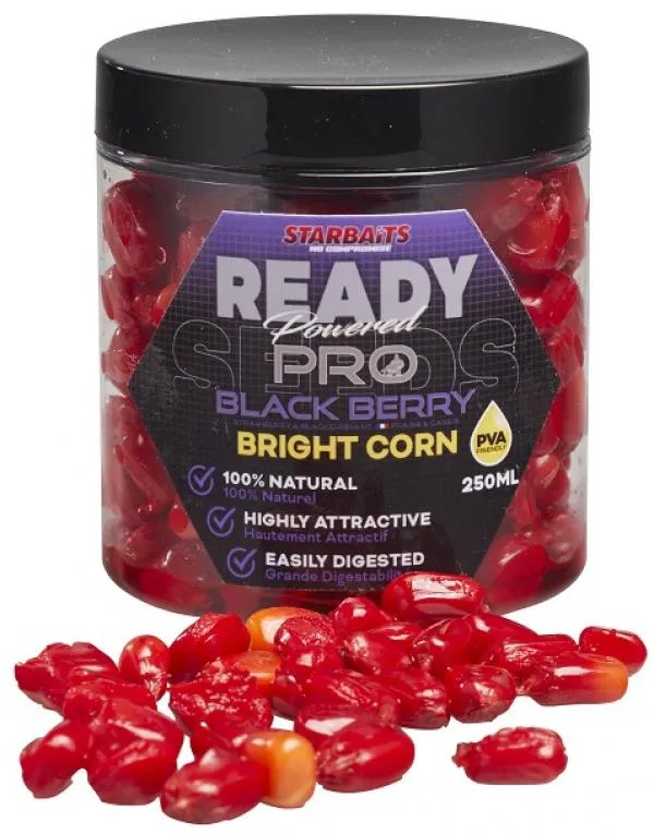 Kukorica Bright Ready Seeds Pro Blackberry 250ml