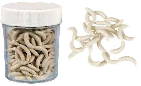 KONGER Maggot Artificial Soft Bait Scented