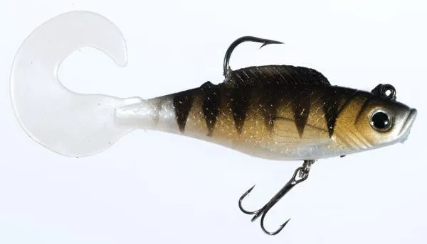 JAXON MAGIC FISH TX-F K 10,0cm 32g