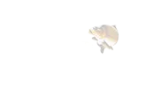 Carp Expert - epeca.hu